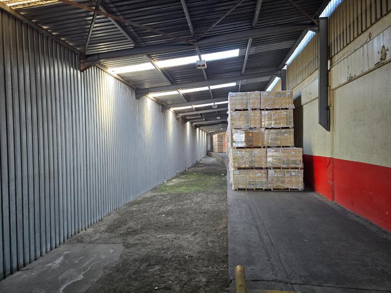 To Let commercial Property for Rent in Paarden Eiland Western Cape
